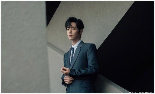 肖战资讯爆料文章最新,揭秘他的私生活与演艺事业背后的故事