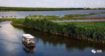 南沙潭洲最新爆料,揭秘未来城市新地标诞生记 第2张 南沙潭洲最新爆料,揭秘未来城市新地标诞生记 第2张