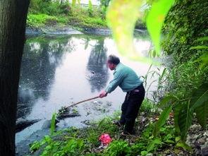 珠海平沙最新爆料,揭秘神秘项目背后的故事 第1张 珠海平沙最新爆料,揭秘神秘项目背后的故事 第1张